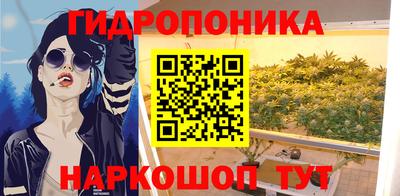 шишки Малоярославец